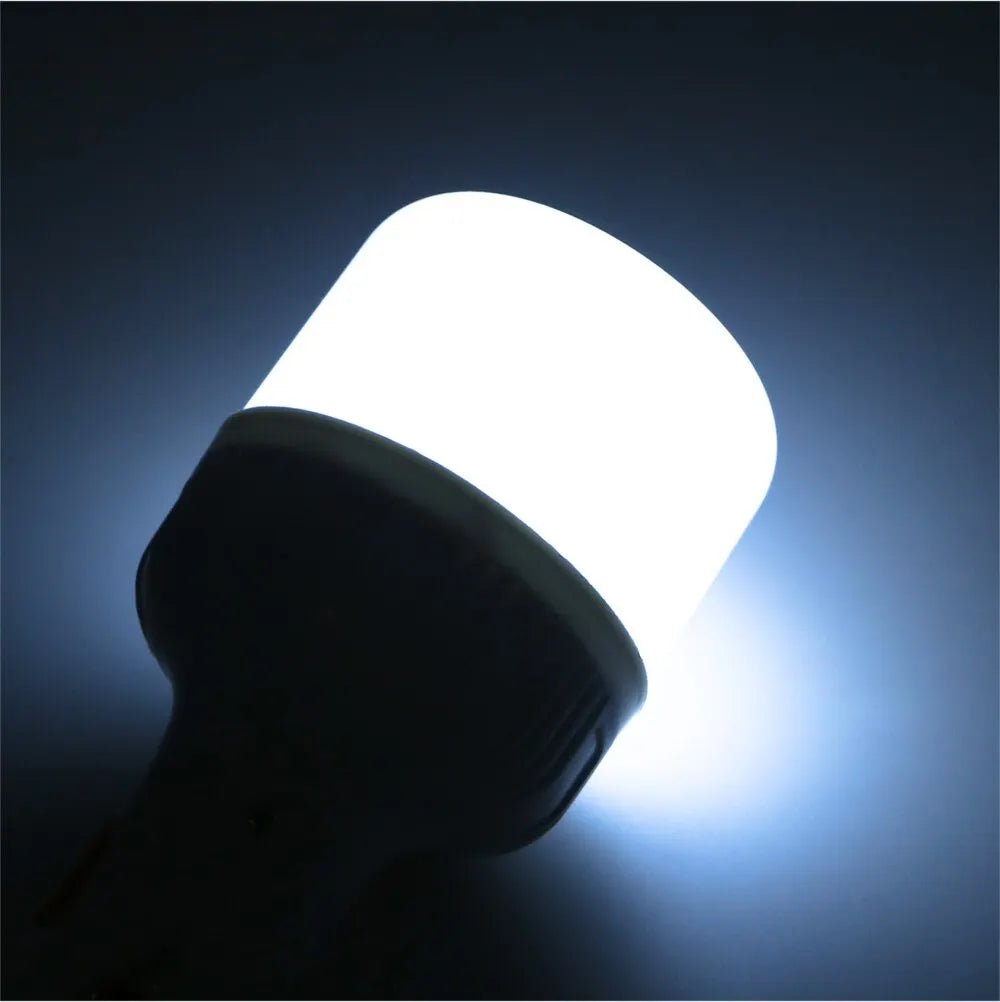 Outdoor USB Rechargeable LED Lamp Bulbs High Brightness Emergency Light Hook Up Camping Fishing Portable Lantern Night Lights - The Shack